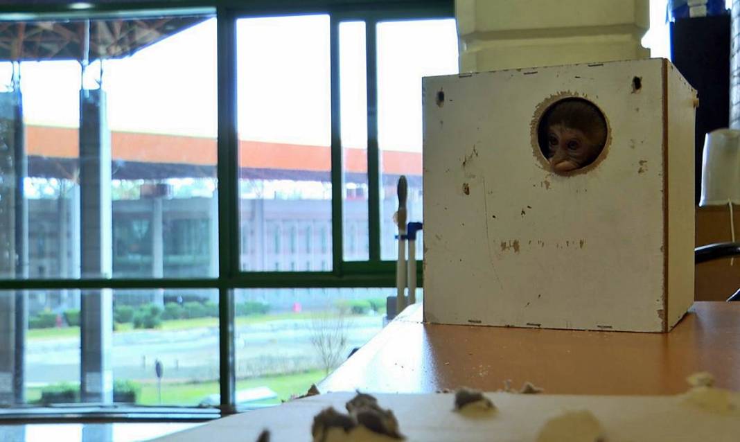 Otobüsle gönderilen koliyi kimse almayınca şoke eden gerçek ortaya çıktı! Hiç kimse bu kadar absürtlüğü tahmin edemezdi 9